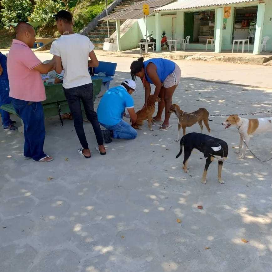 Camacã: Prefeitura realizou vacinação contra a raiva em cães e gatos
